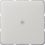 Cable outlet w.center plate and insert CD590ALG | 4011377089150