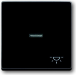 Cover plate with symbol "Light", black 1789LI-81 Future Linear 2CKA001751A2931 | 4011395056073