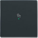 SRD-1-81 Rocker, anthracite, Covers 2CKA006220A0149 | 4011395181546