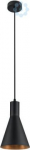 Pendant luminaire 1010785 | 4024163321945