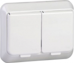 Double socket-outlet with lid, IP44, earthed screw, white, Exxact WDE008249 | 3606480504693