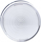 Monolithic pilot light, Harmony XB7, plastic, clear, 22mm, integral LED, 110...120V AC XB7EV07GP | 3389119041225