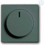 Control element/cover plate for domestic switching devices 2CKA006599A2980 | 4011395137314