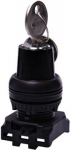 SA2LN45-D l key 2 pos nsr black SA2LN45-D | 4752255003270