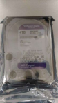 SALE OUT. Western Digital Purple Surveillance, 4 TB, 3.5", HDD | Western Digital Hard Drive | Digital Purple Surveillance | 4000 GB | REFURBISHED WD43PURZSO | 2000001385036