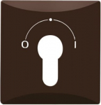 As cover for flush-mounted key switch.   Semi-cylindrical lock not included in delivery.   With sealing ring.   IP 44 only in conjunction with styling frames All Weather 44 and the appropriate semi-cylindrical lock. 2CKA001710A3805 | 4011395103555