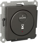 Timer, Exxact, electronic, 2-pole, anthracite WDE003471 | 3606480204791
