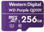 Memory card MICRO SDXC 256GB UHS-I, Purple WDD256G1P0C | 718037874951