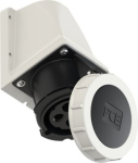 Wall socket outlet 4x32A (3P+PE) 7h IP67 black 1242-7V | 9003399190117