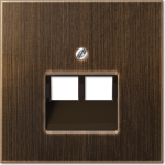 Metal cover plate for modular IAE/UAE data socket, antique brass, 2xRJ45, LS ME2969-2UAAT | 4011377099203