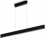 Hue Ensis pendant black 2x39W 24V White and Color Ambiance 929003052501 | 8719514343368