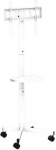 TV SET ACC FLOOR STAND 32-55"/TVS-55T-03-W GEMBIRD TVS-55T-03-W | 8716309135511