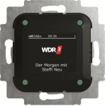 Insert Busch-Radio DAB+ black 2CKA008200A0276 | 4011395304921