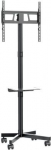 TV SET ACC FLOOR STAND 32-55"/TVS-55T-03 GEMBIRD TVS-55T-03 | 8716309135467