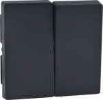 Two gang cover plate, anthracite Merten SystM MTN433514 | 3606485004372