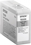 Epson T850900 | Ink Cartridge | Light Black C13T850900 | 010343914940