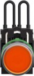 Push-to-test pilot light, Harmony XB5, plastic, orange, universal LED, screw clamp terminals, 24V XB5AW25B5 | 3606489420710