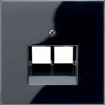 Cover plate, 2-RJXX UAE,SW, black, CD CD569-2UASW | 4011377683303