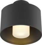 Ceiling-/wall luminaire 1008199 | 4024163295277