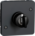 Key switch, Mureva Styl, mechanism, 3 positions, electromechanical, 3A, IP55, grey MUR35061 | 3606480789458
