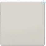 DELTA i-system titanium white key SYS, 55x 55 mm 5TC1301 | 4001869252254