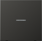 Metal 1-gang rocker, with lens, anthracite, LS AL2990KO5AN | 4011377012066