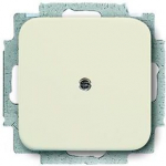 Cover plate BD2000 cream 2538-212-500 2CKA001715A0318 | 4011395173923