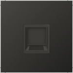 Centre plate, 1xRJXX, anthracite, LS AL1969-1WEAN | 4011377177819