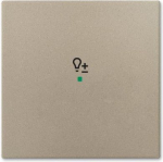 SRD-1-93 Rocker, champagne, basic55 covers 2CKA006220A0656 | 4011395204894