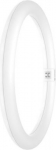 LED circular lamp TUBE T9 C 32 EM VALUE 18.3W 840 G10q 2200lm 4000K 4099854042522 | 4099854042522