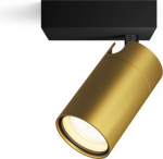 Ceiling/wall spotlight Idris, GU10, 1x5W, IP44, black and brass 929004104501 | 8720169299177