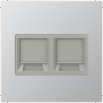 Centre plate, 2xRJXX, aluminium, LS AL1969-2WE | 4011377178007