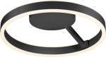 Ceiling-/wall luminaire 1008553 | 4024163298469