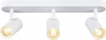 Ceiling-/wall luminaire 1008717 | 4024163300339