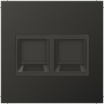 Centre plate, 2xRJXX, anthracite, LS AL1969-2WEAN | 4011377178021