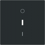 With imprint >0< and >I<. As cover for 2-pole or 3-pole flush-mounted on-off switch and 2-pole control on-off switch. 2CKA001751A3356 | 4011395320198