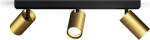 Ceiling/wall spotlight Idris, GU10, 3x5W, IP44, black and brass 929004104701 | 8720169299214