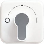 As cover for flush-mounted key switch. For insert 2733 USL-101. 2CKA001710A1456 | 4011395862308