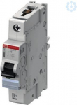 S401M-C16 Miniature circuit breaker (MCB) 1P C 16A 2CCS571001R0164 | 7612270101429