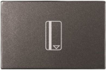 Card switch insert/cover Anthracite - Zenit 2CLA221450N1801 | 8427238073491