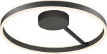 Ceiling-/wall luminaire 1008556 | 4024163298438