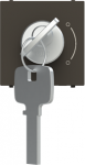 Color: Anthracite.   Rated voltage: 110 - 250 Vac.   Rated current: 5A.   Key removable in the 2 positions.   Unique key for each lock.   Suitable for alarms.   Size: 2 modules. 2CLA225300N1801 | 8427238229843