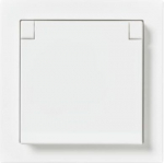 There are terminals for each contact of the socket outlet for max 4 rigid wires. No X-terminals. The socket outlet insert without the cover plate is screen-protected. 2TKA00000073 | 6438199009124