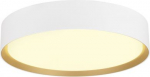 DECONA 30 CL, PHASE, Ceiling-mounted light, Round, 3000/4000K, 17 W, White/Gold 1008919 | 4024163302975