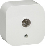 Television socket Forix - surface mounting - IP 2X - male connector - white 782415 | 3245067824153