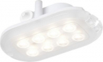 Bulkhead OVAL Pro LED 4W IP44 360lm 3000K white 233432