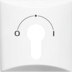 As cover for flush-mounted key switch.   Semi-cylindrical lock not included in delivery.   With sealing ring.   IP 44 only in conjunction with styling frames All Weather 44 and the appropriate semi-cylindrical lock. 2CKA001710A1837 | 4011395870808