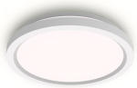 Bulkhead AIO RD 24W 2700-6500K 2400Lm IP20 white 929004689001 | 8721103055927