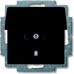 Shuttered. With screwless terminals. DP (2 P + E) Hinged lid notches when opened. 2CKA002111A0655 | 4011395191378