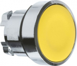 Head for illuminated push button, Harmony XB4, metal, yellow flush, 22mm, push-push, unmarked ZB4BH05 | 3389110122701